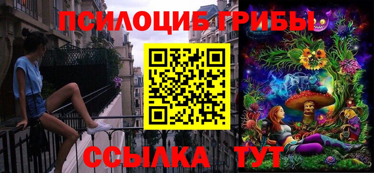 Псилоцибиновые грибы мухоморы  закладки  Зеленогорск  Вход с VPN  Галлюциногенные грибы MAGIC MUSHROOMS 